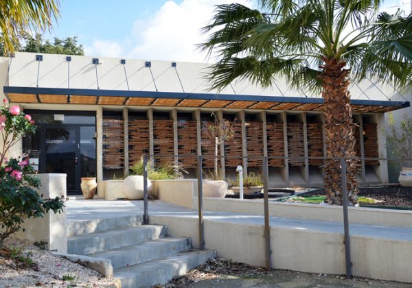 פרגולה מודרנית סבוכה